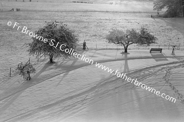 RATHFARNHAM CASTLE GROUNDS IN THE SNOW